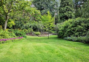 Optimiser l'expérience du jardin à Fallerans